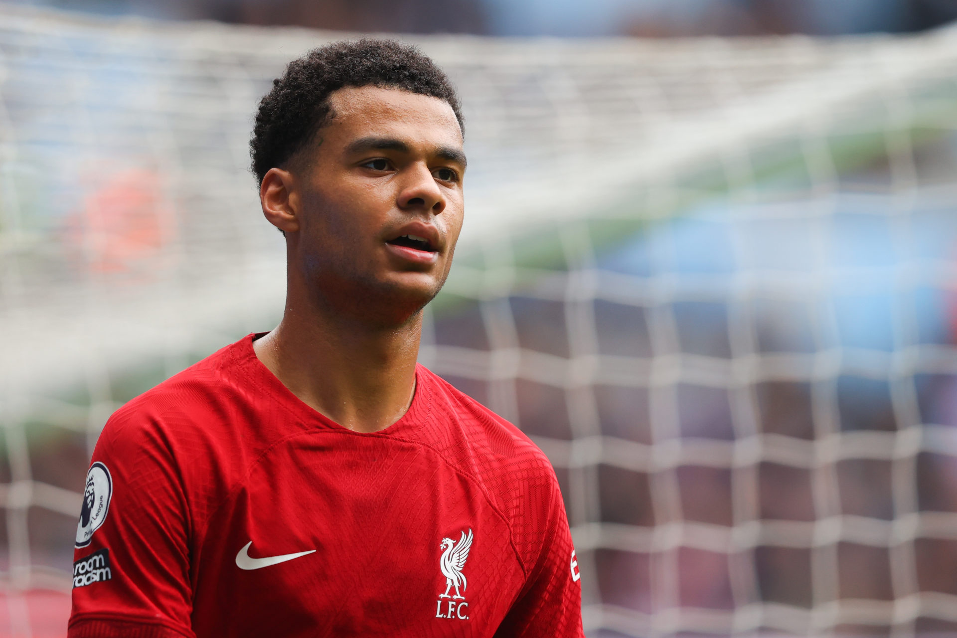 Photo by James Gill - Danehouse/Getty Images