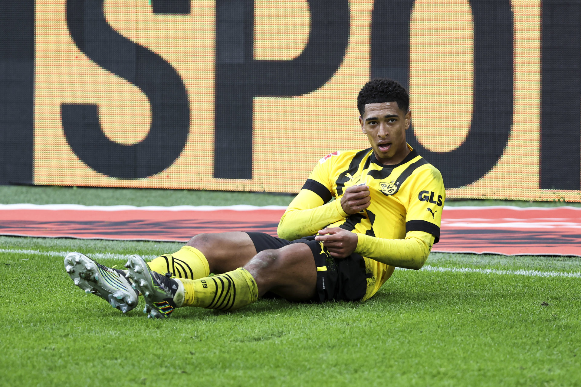 Photo by Joachim Bywaletz/DeFodi Images via Getty Images