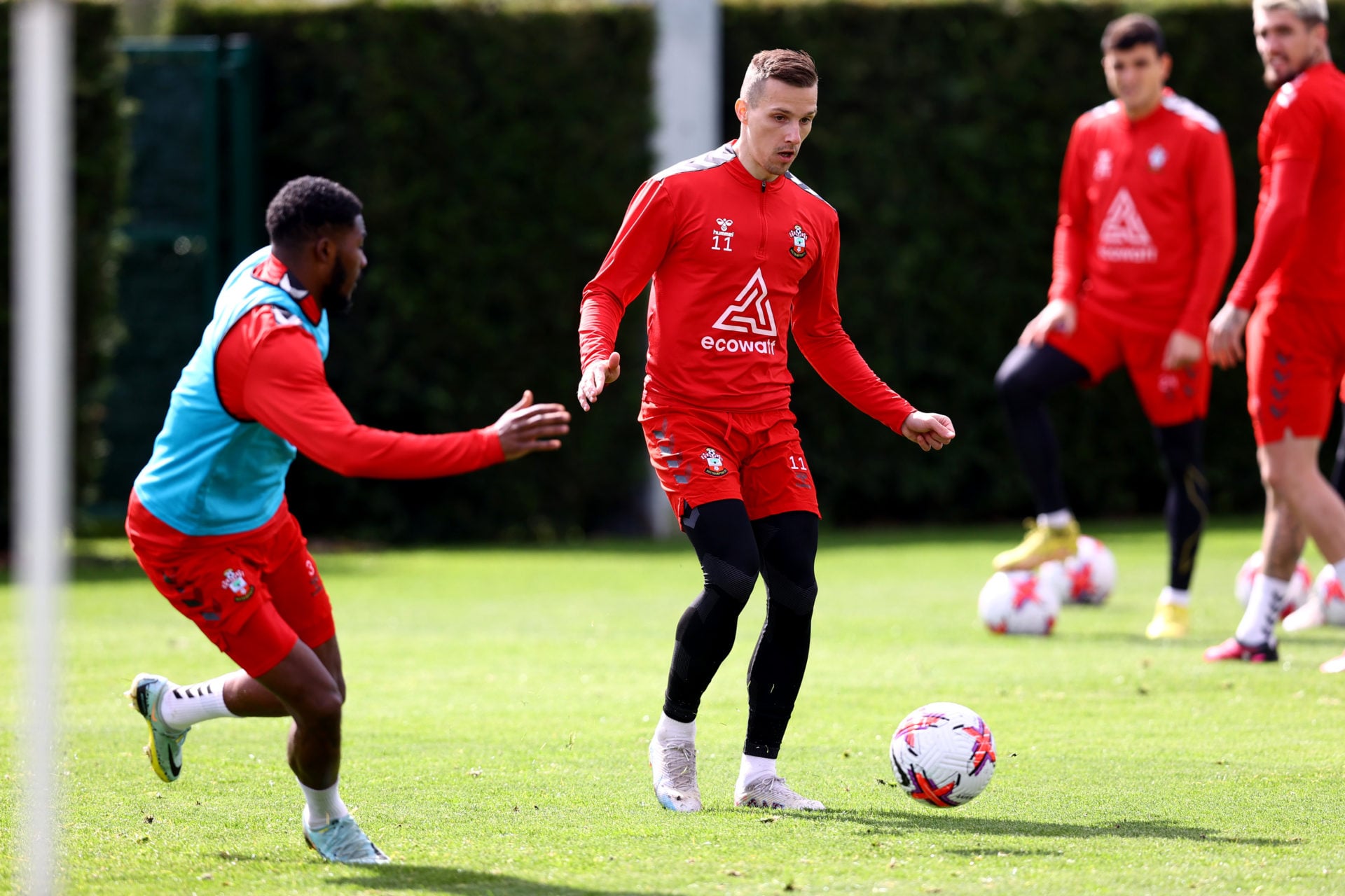 Photo by Matt Watson/Southampton FC via Getty Images