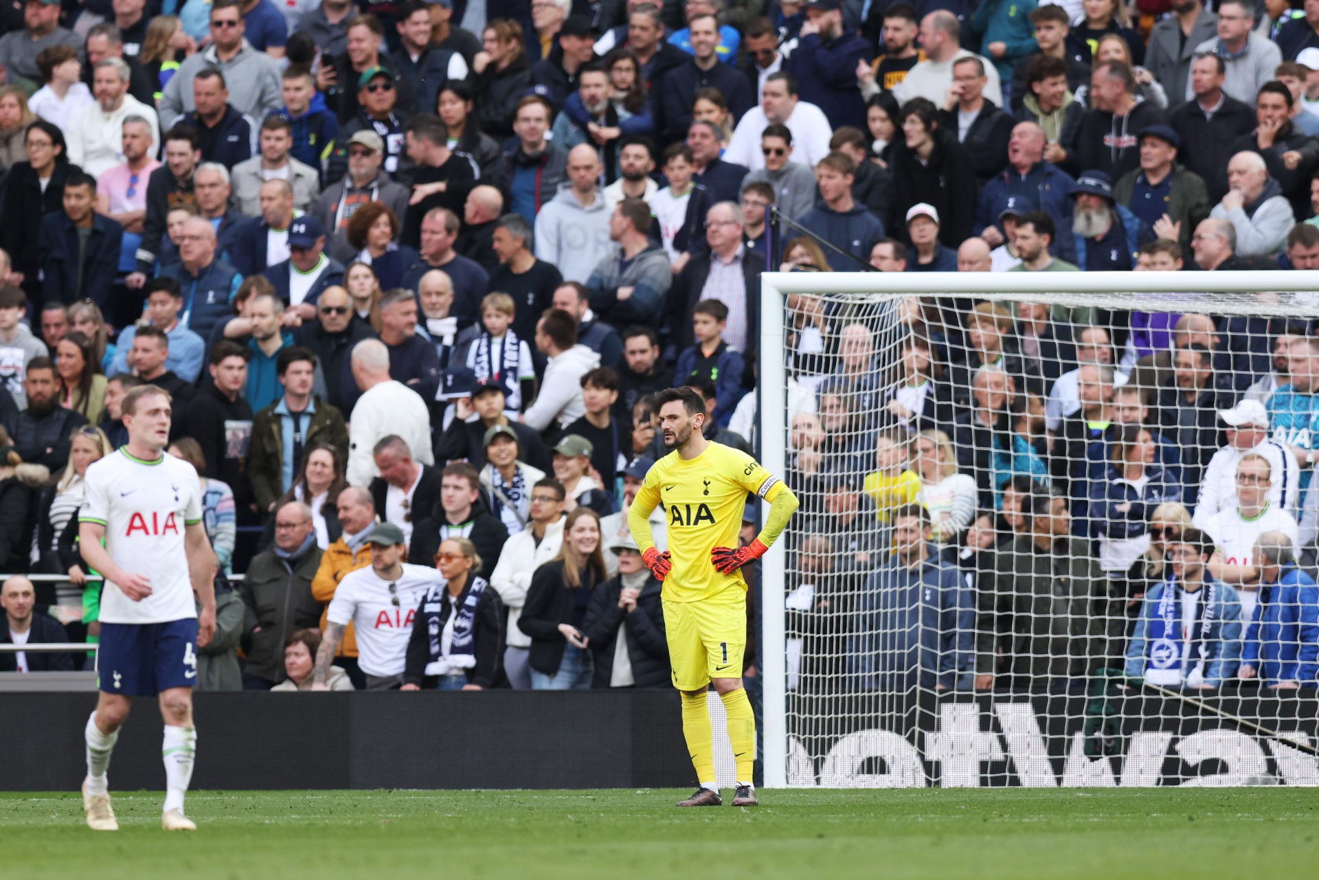 Photo by Tottenham Hotspur FC/Tottenham Hotspur FC via Getty Images