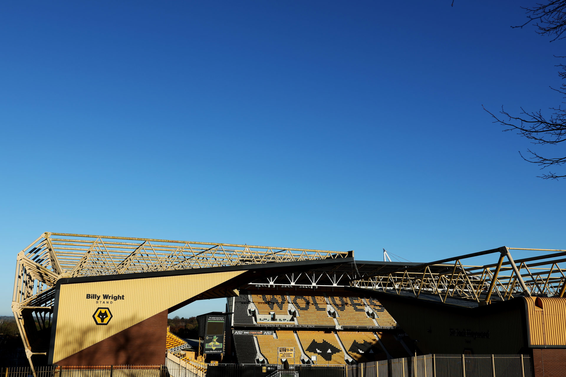 Photo by Jack Thomas - WWFC/Wolves via Getty Images