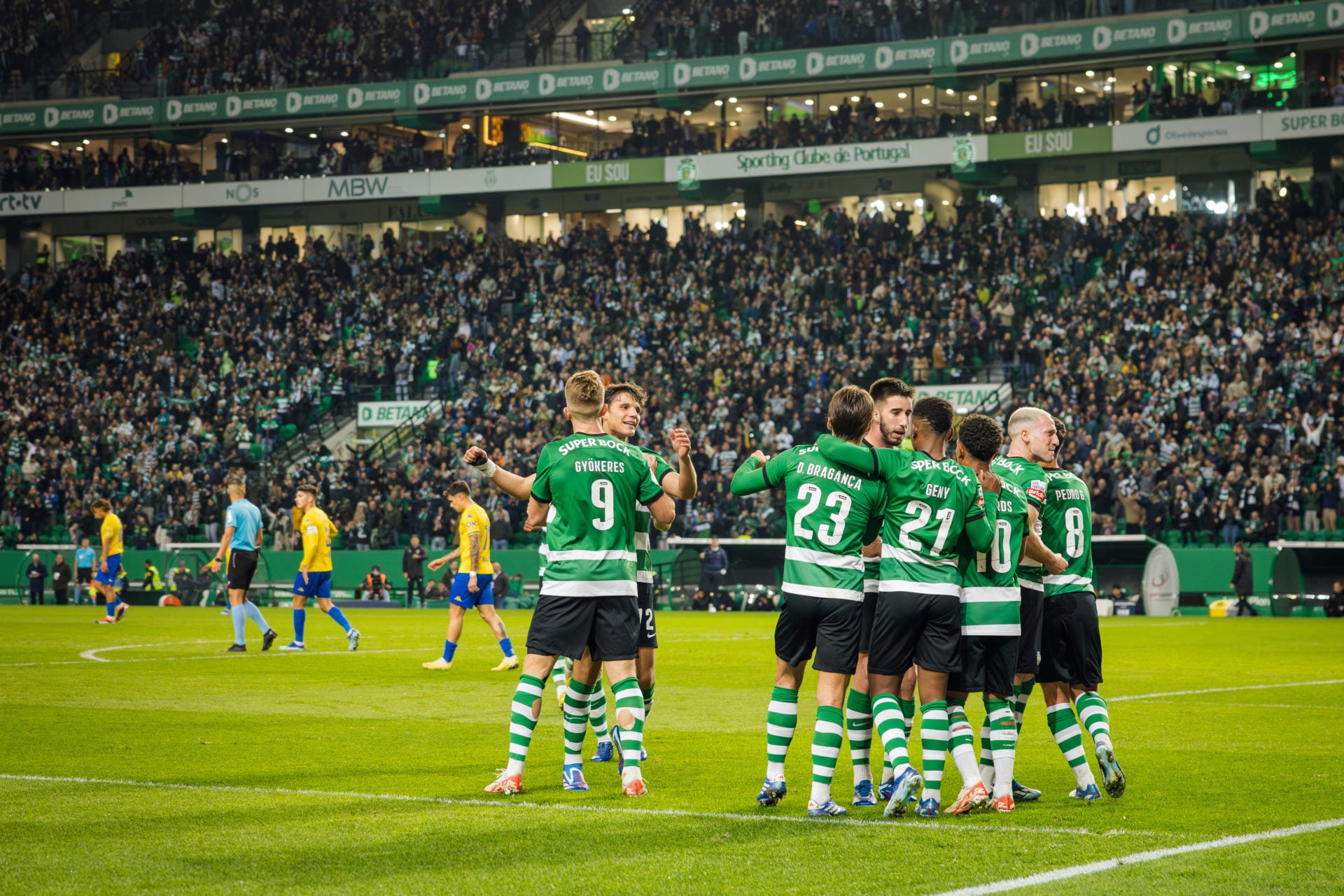 Photo by Henrique Casinhas/SOPA Images/LightRocket via Getty Images