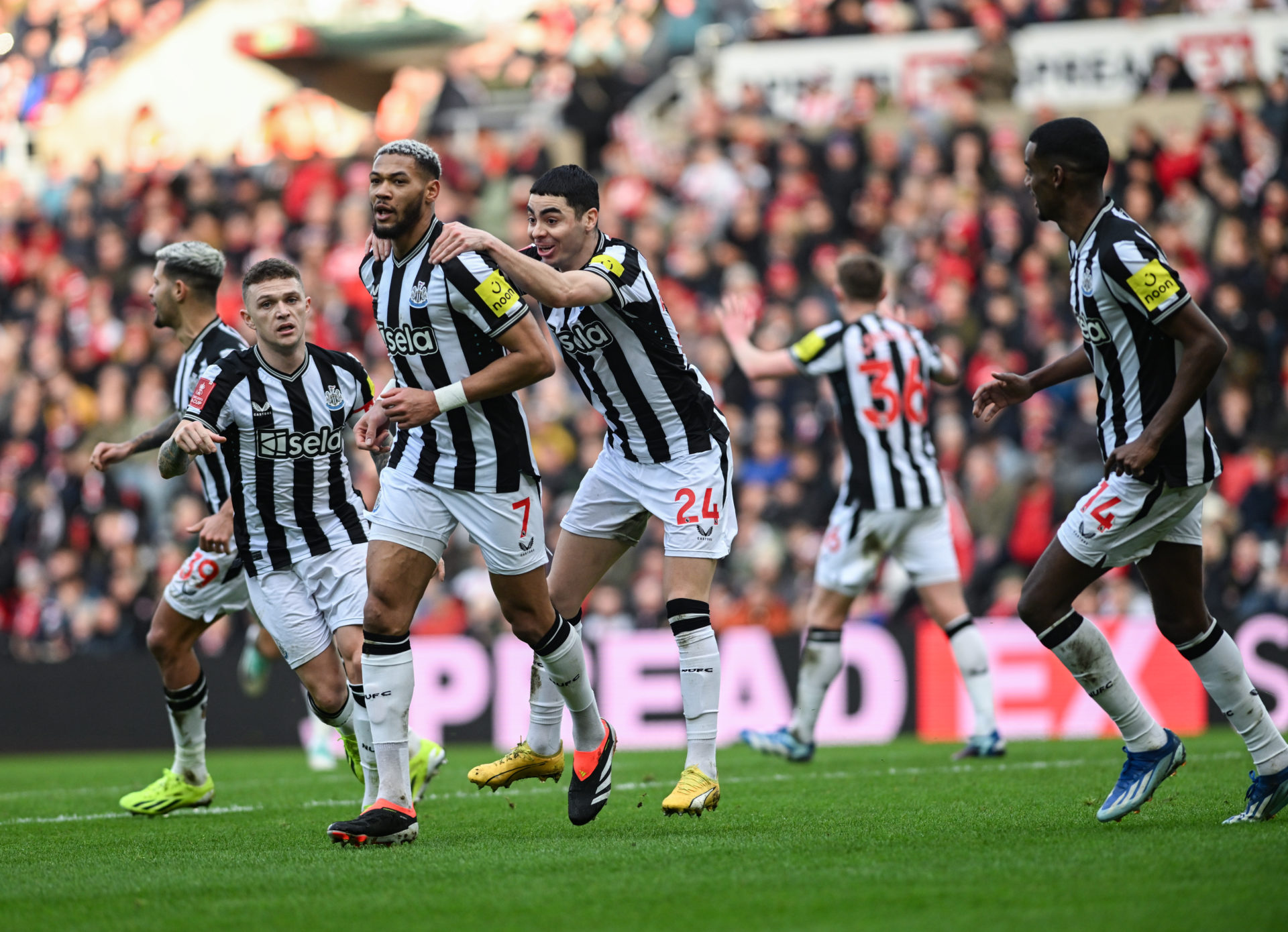 Photo by Serena Taylor/Newcastle United via Getty Images