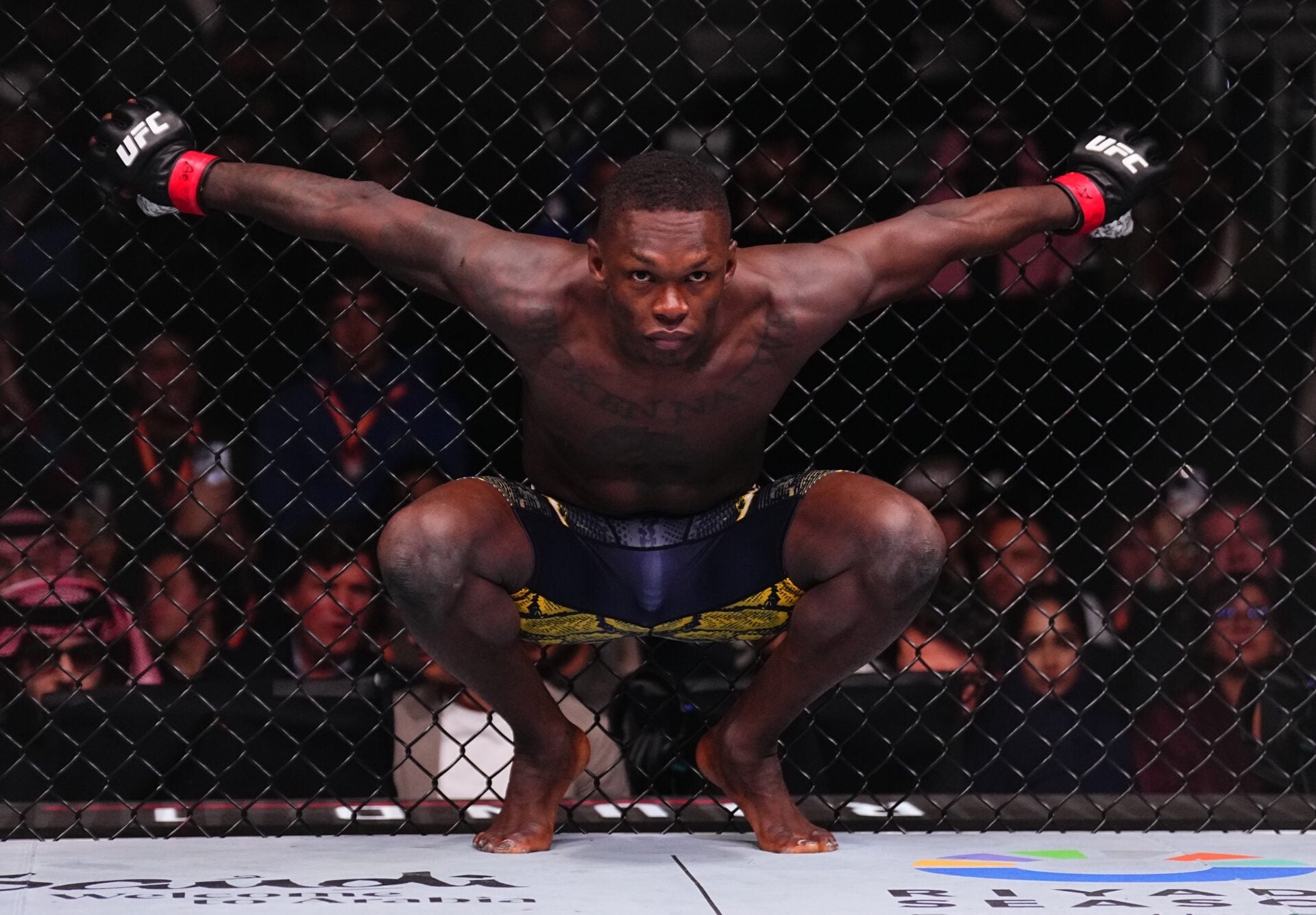 Photo by Chris Unger/Zuffa LLC