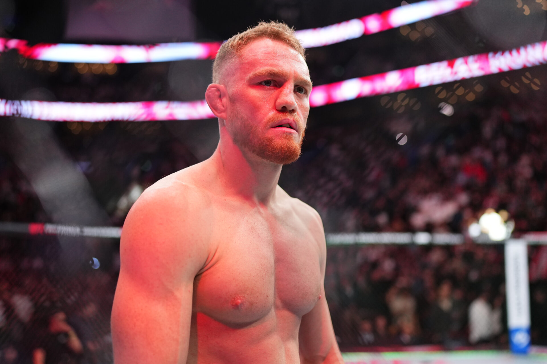 Photo by Chris Unger/Zuffa LLC