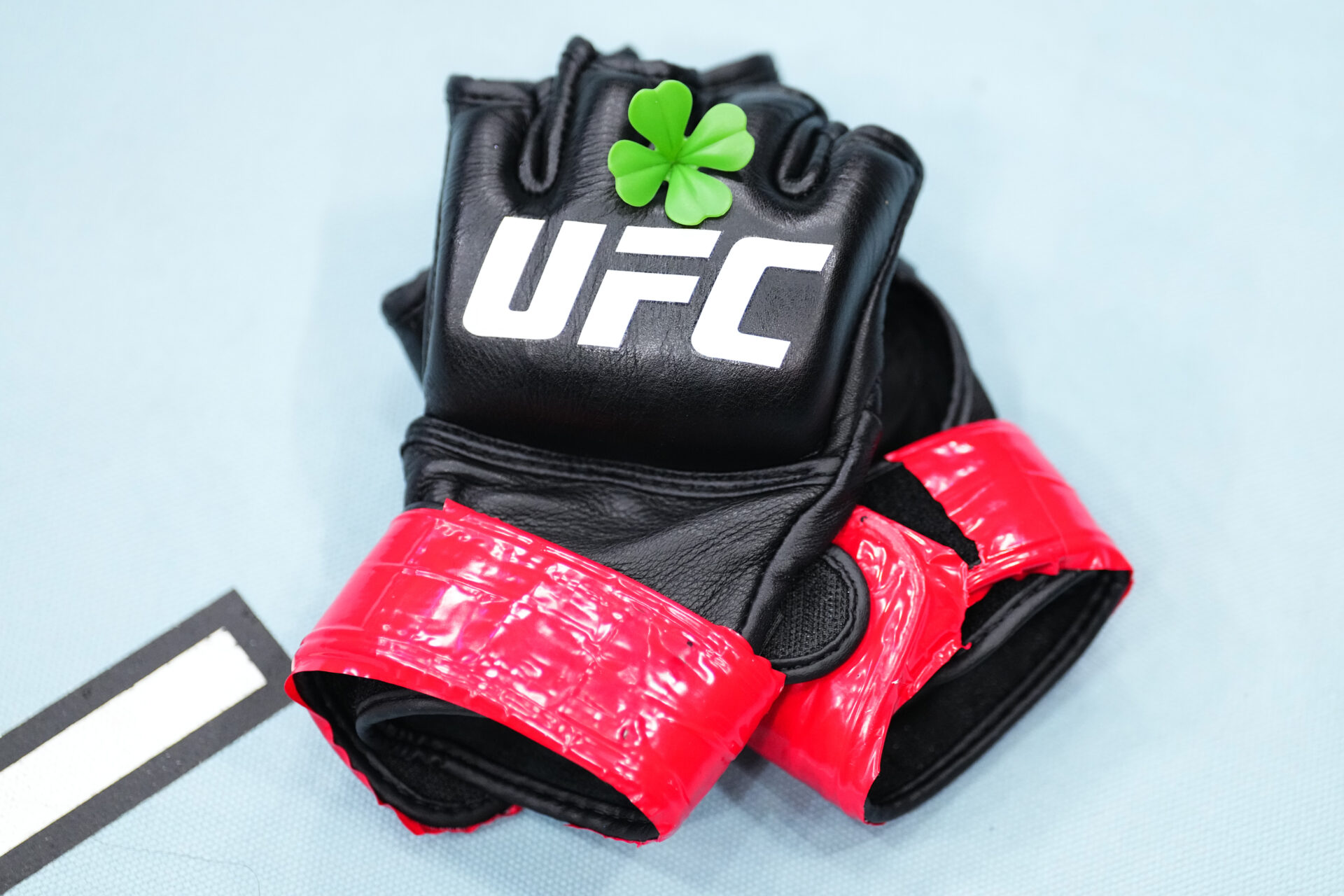 Photo by Jeff Bottari/Zuffa LLC