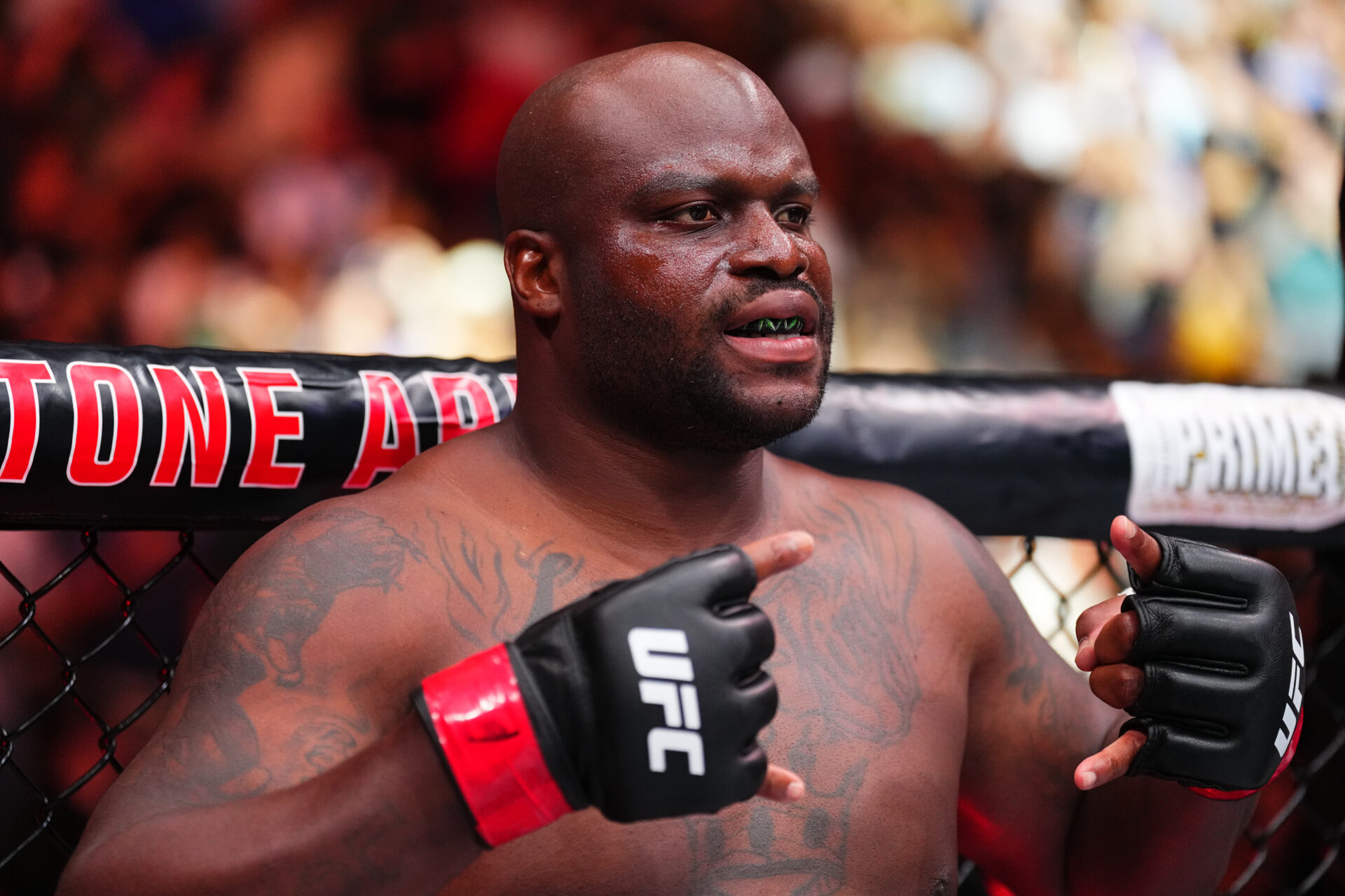 Photo by Jeff Bottari/Zuffa LLC