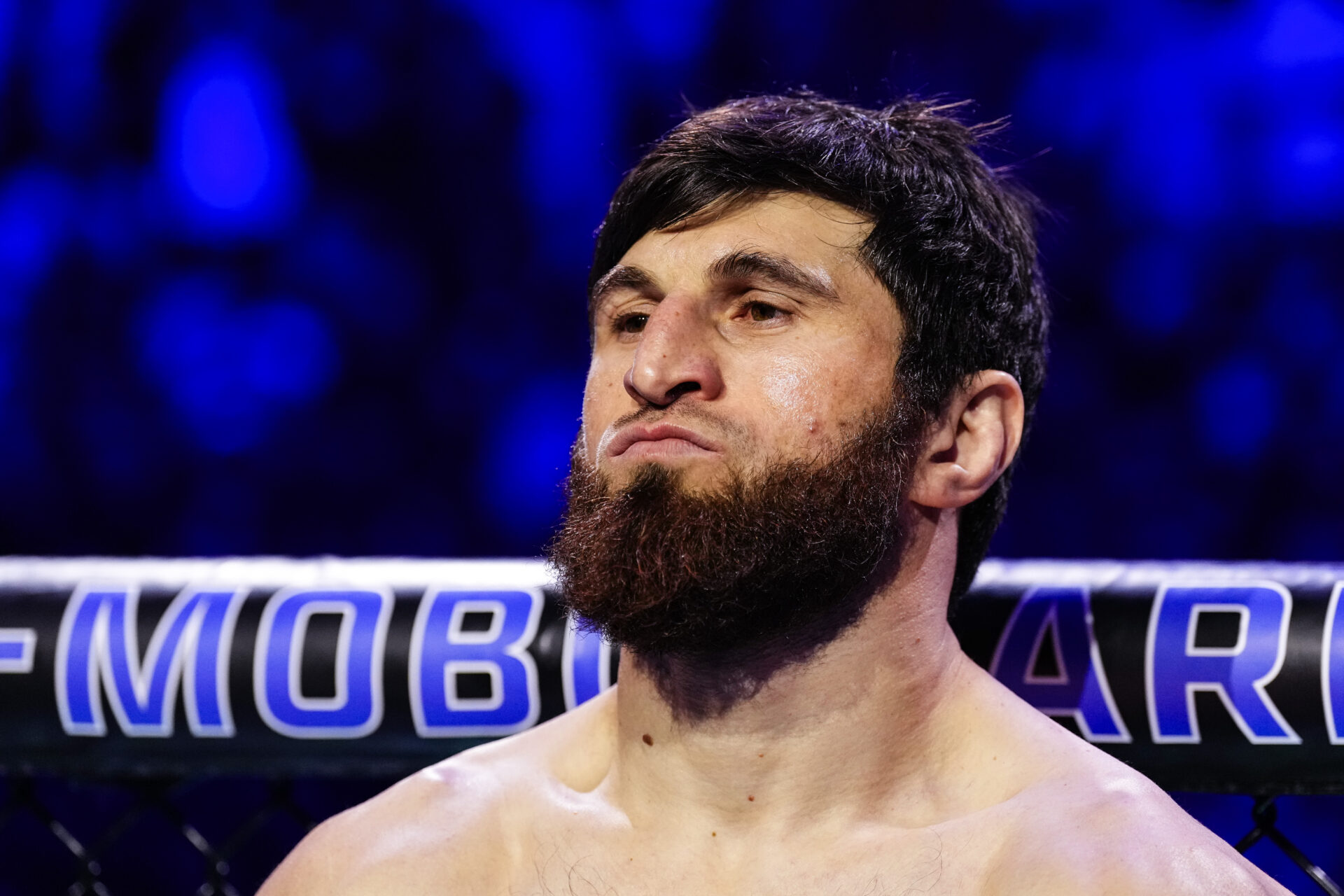 Photo by Jeff Bottari/Zuffa LLC