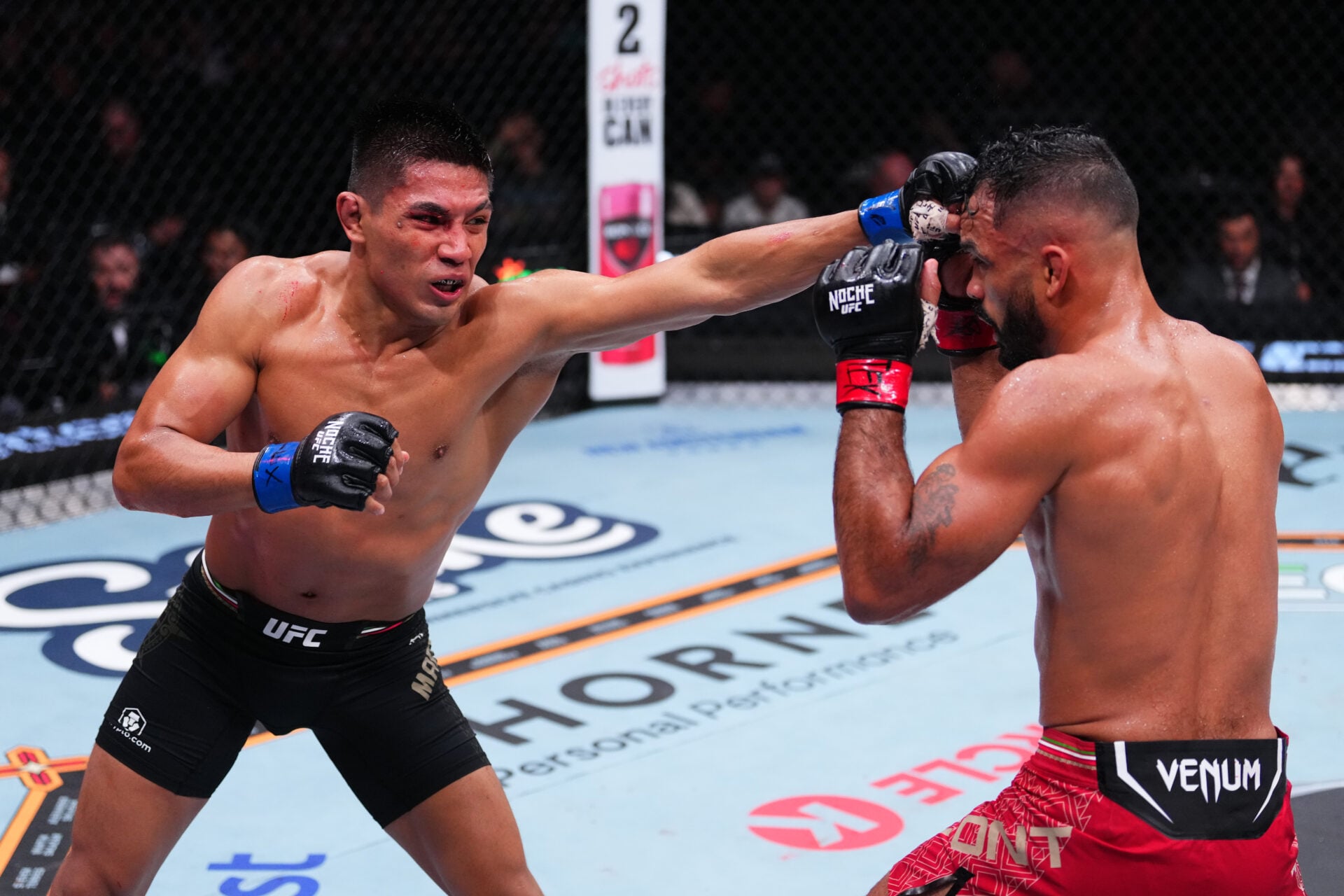 Photo by Cooper Neill/Zuffa LLC via Getty Images
