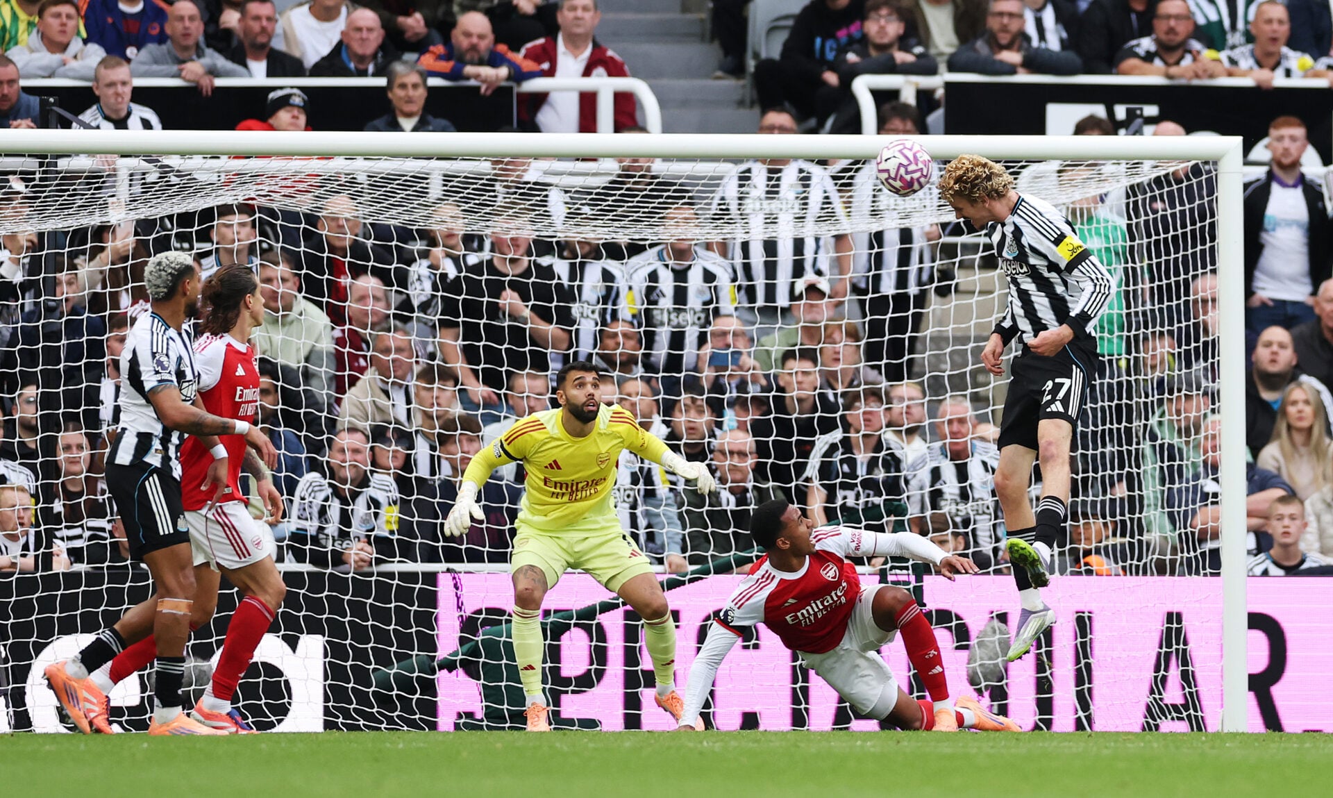 Photo by Stu Forster/Getty Images
