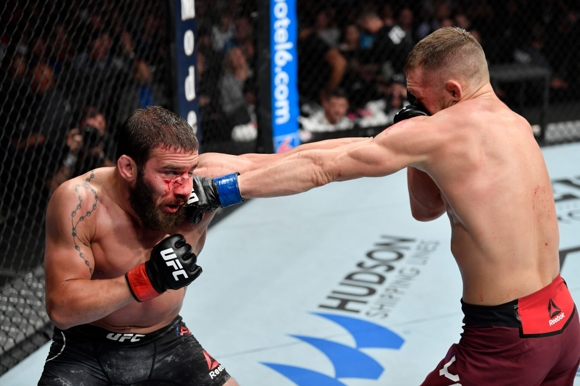 Photo by Jeff Bottari/Zuffa LLC/Zuffa LLC via Getty Images
