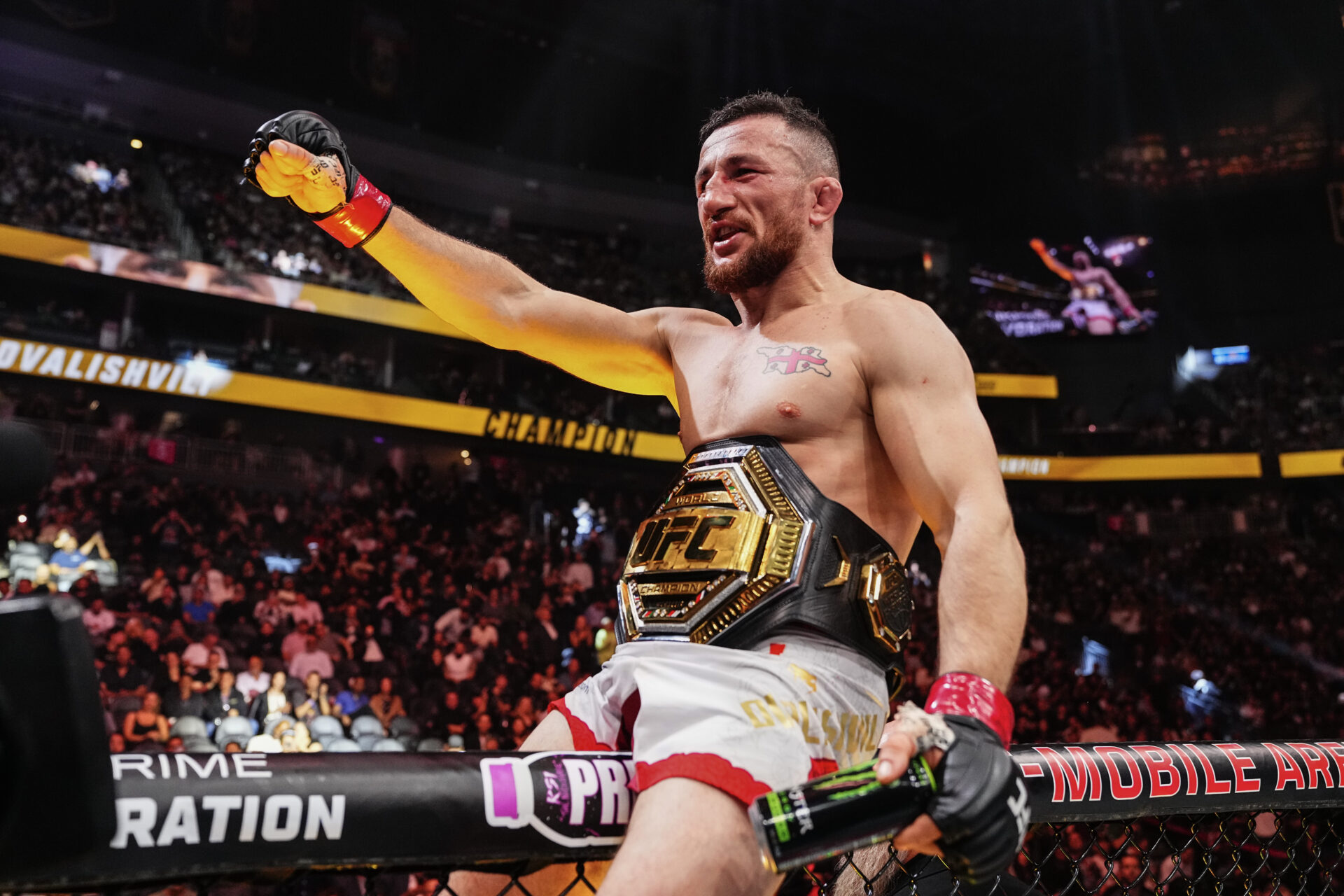 Photo by Jeff Bottari/Zuffa LLC