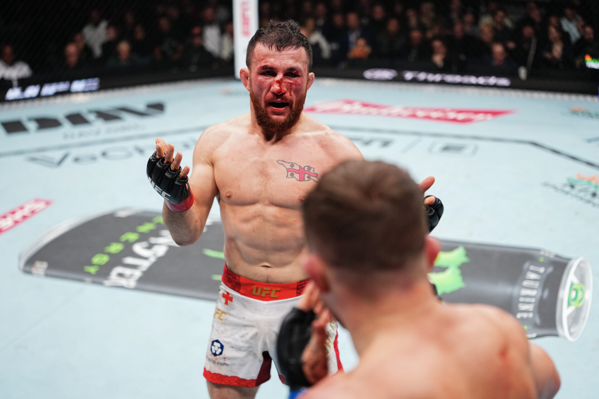 Photo by Jeff Bottari/Zuffa LLC