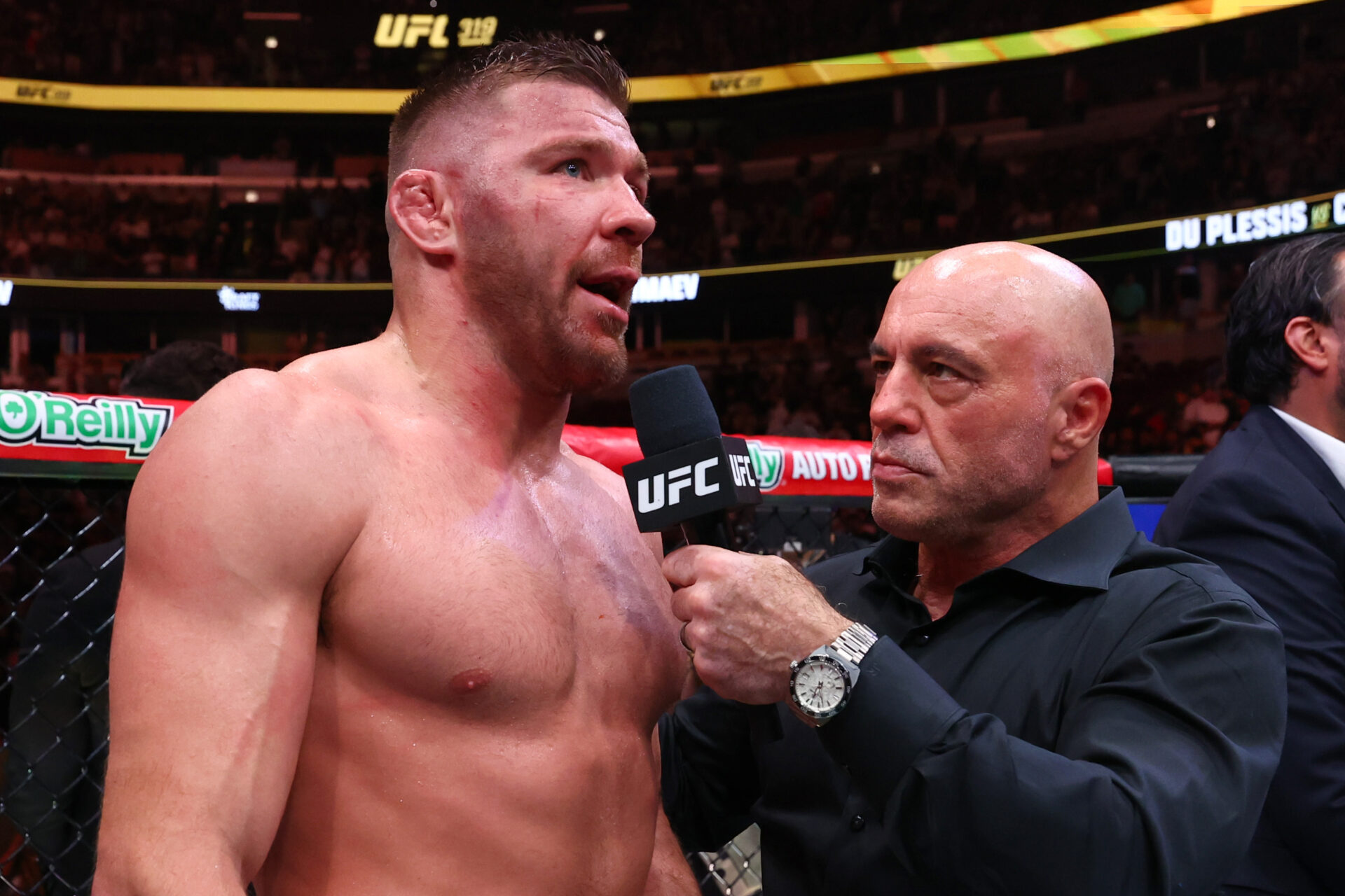 Photo by Ed Mulholland/Zuffa LLC