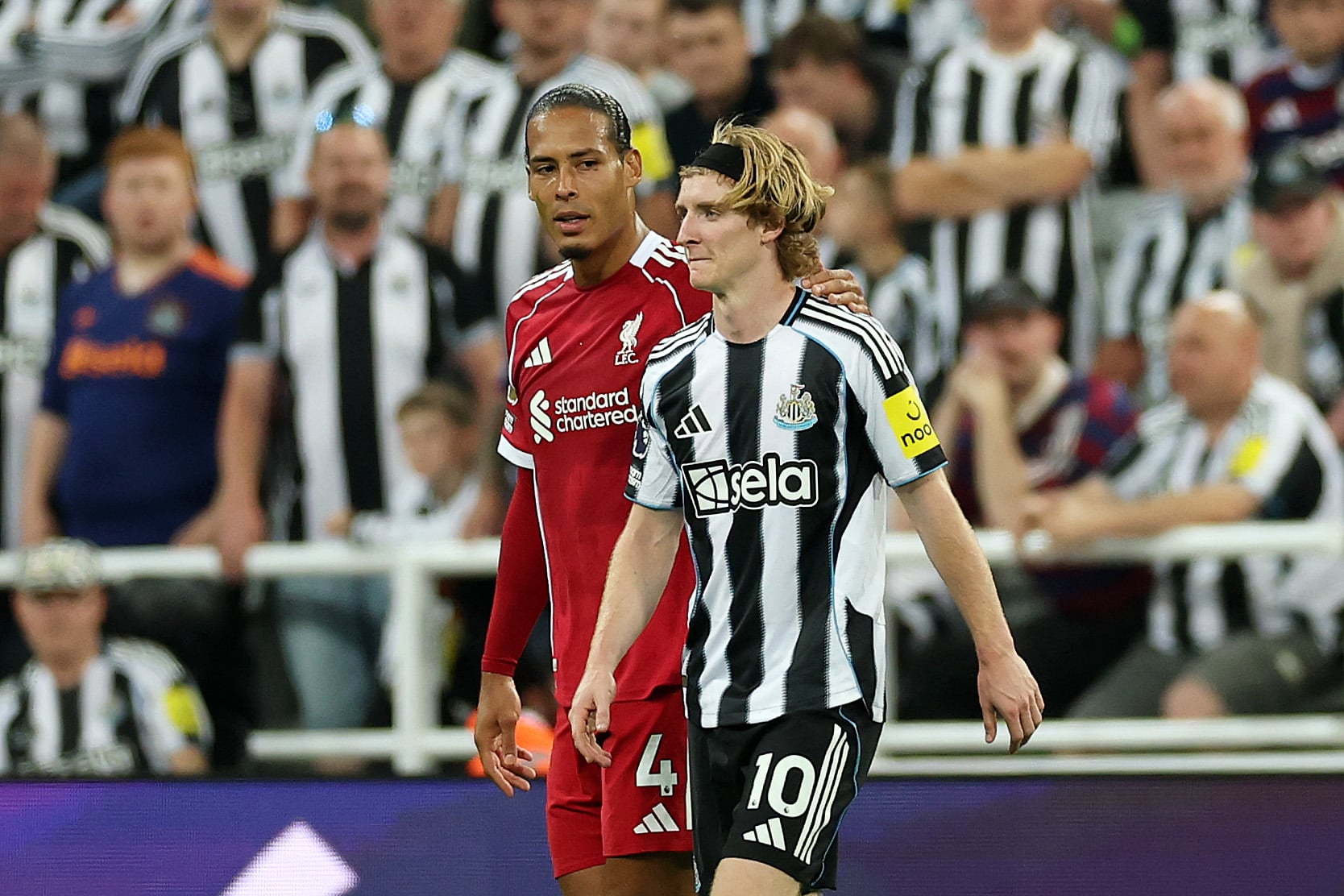 Photo by Stu Forster/Getty Images