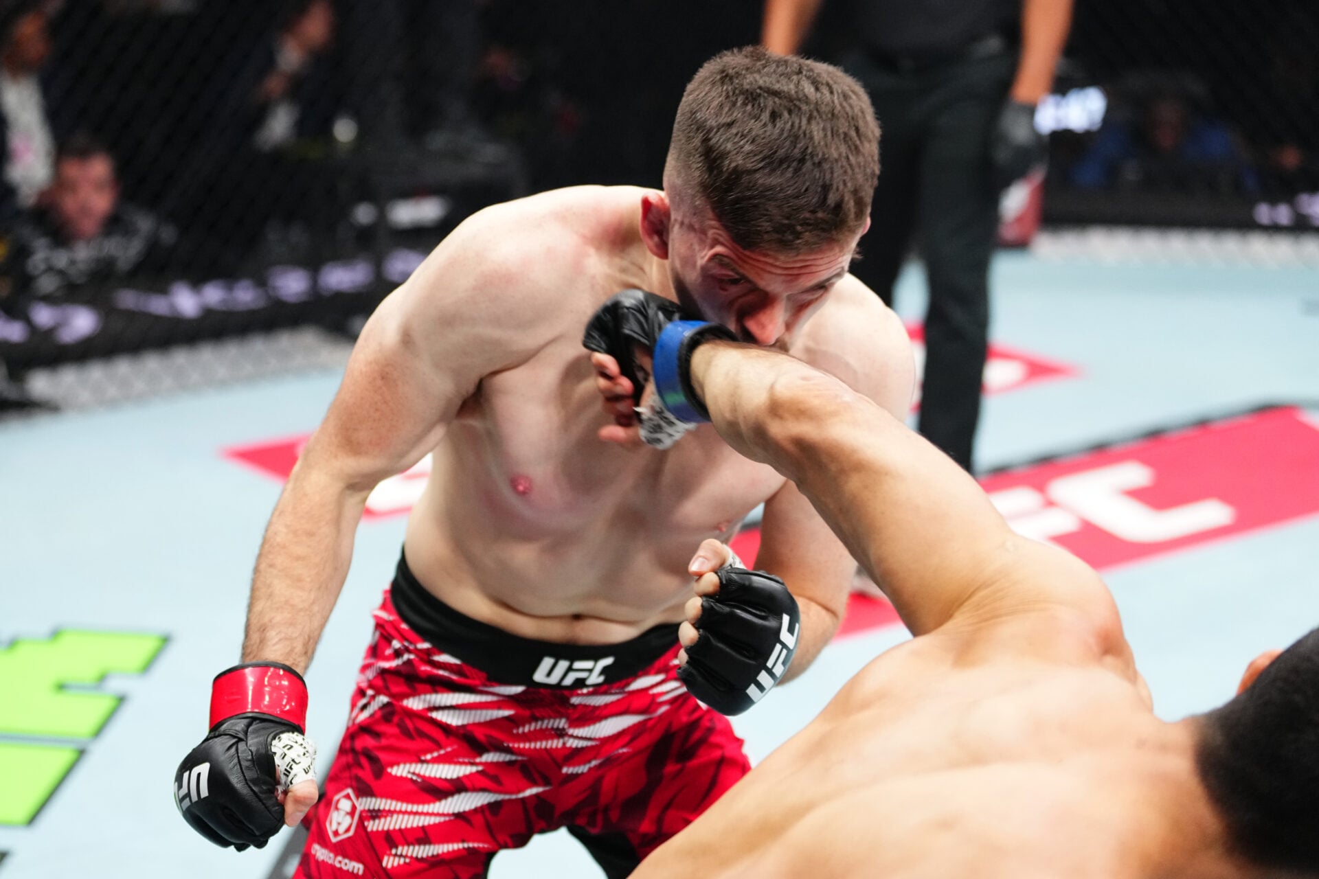 Photo by Jeff Bottari/Zuffa LLC