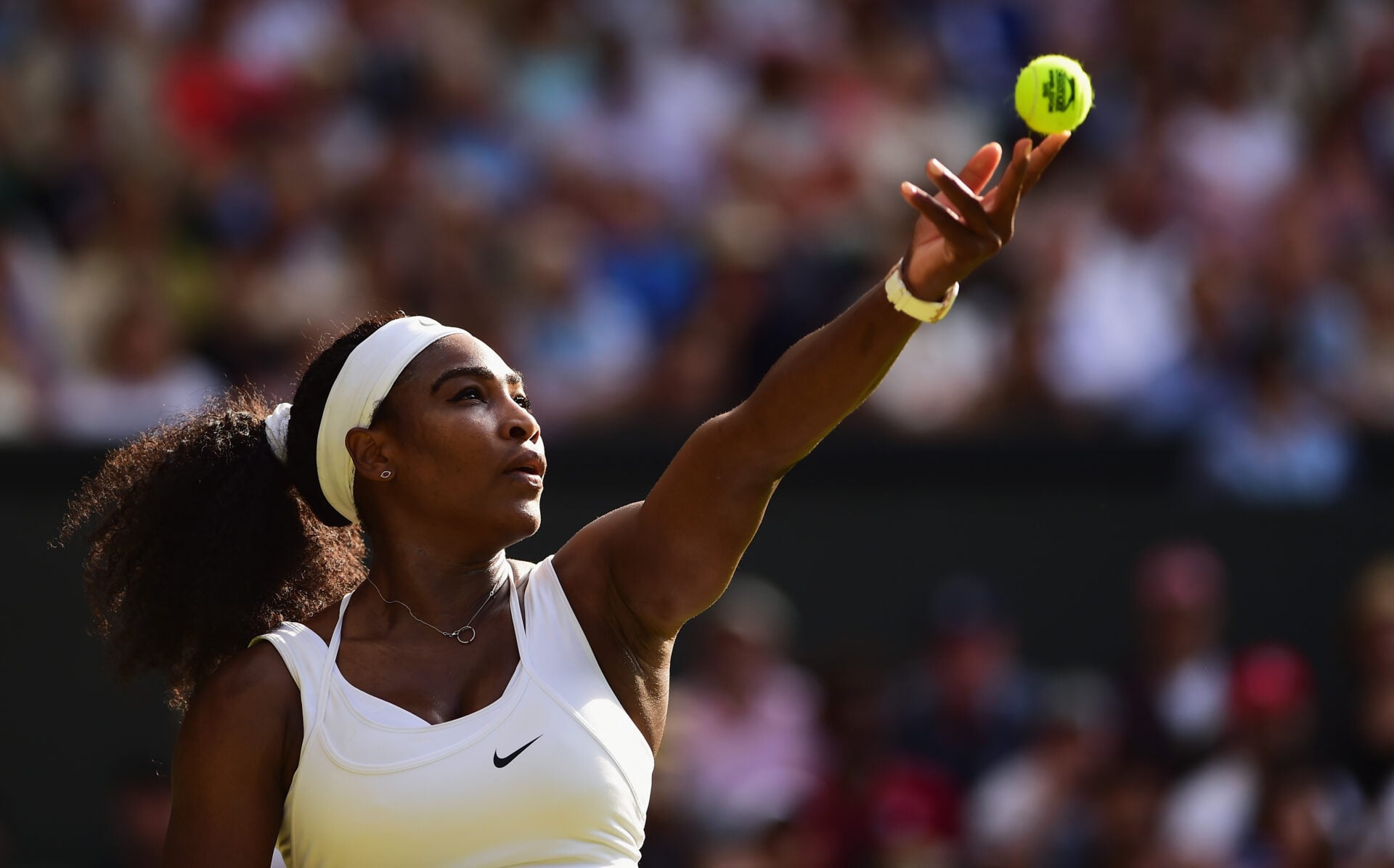 Photo by Shaun Botterill/Getty Images