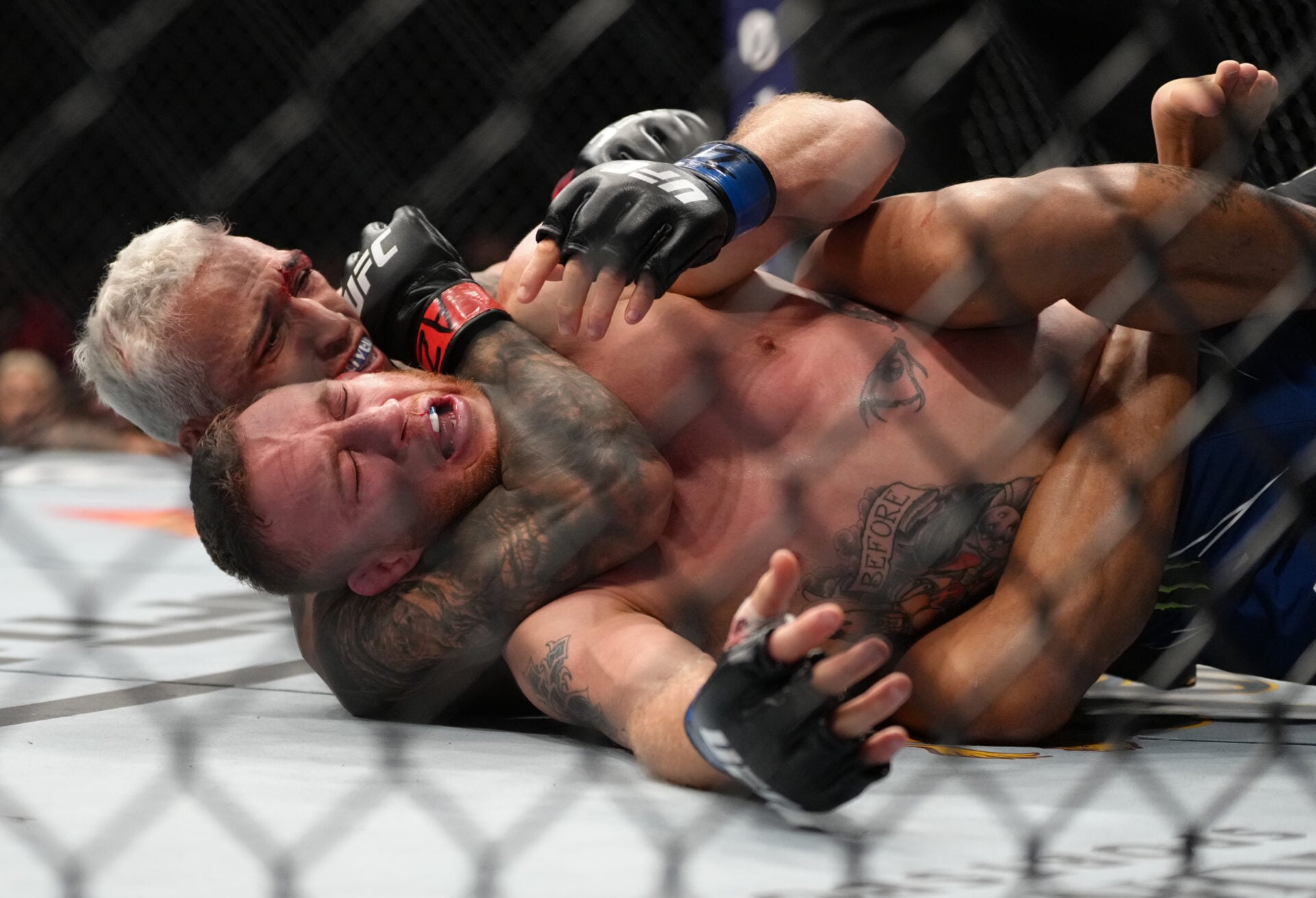 Photo by Jeff Bottari/Zuffa LLC
