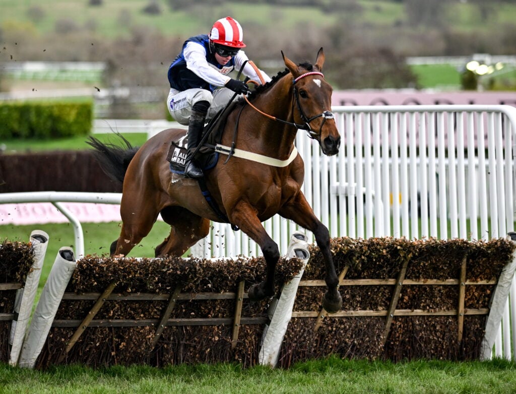 The Jukebox Man, with Kielan Woods up, on their way to finishings second in the Albert Bartlett Novices' Hurdle on day four of the Cheltenham Racing Festival
