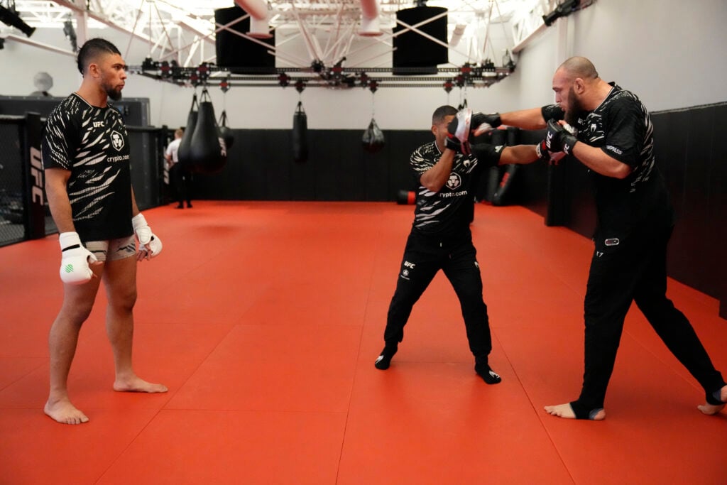 UFC Fight Night: Cannonier v Rodrigues