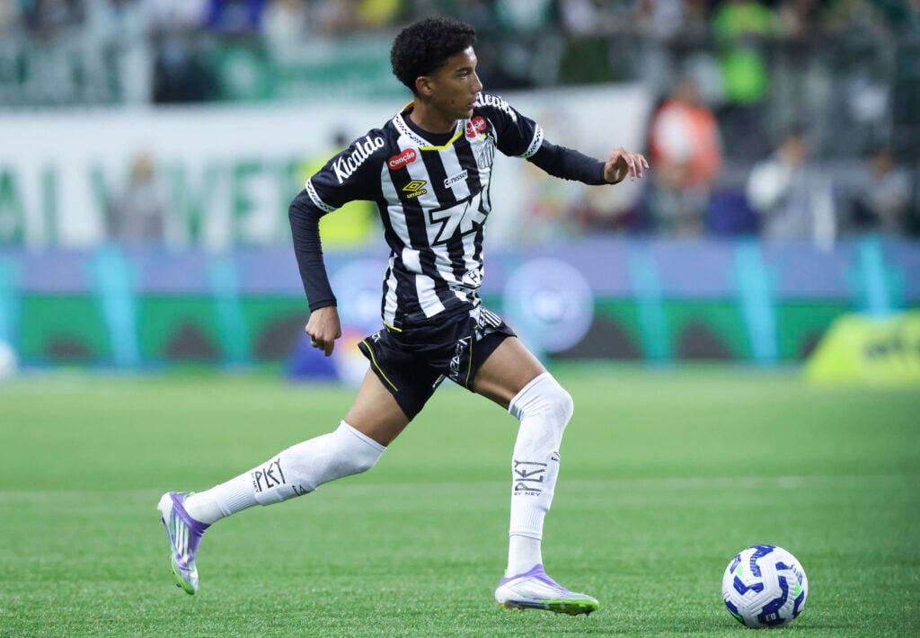 Palmeiras v Santos - Brasileirao 2025