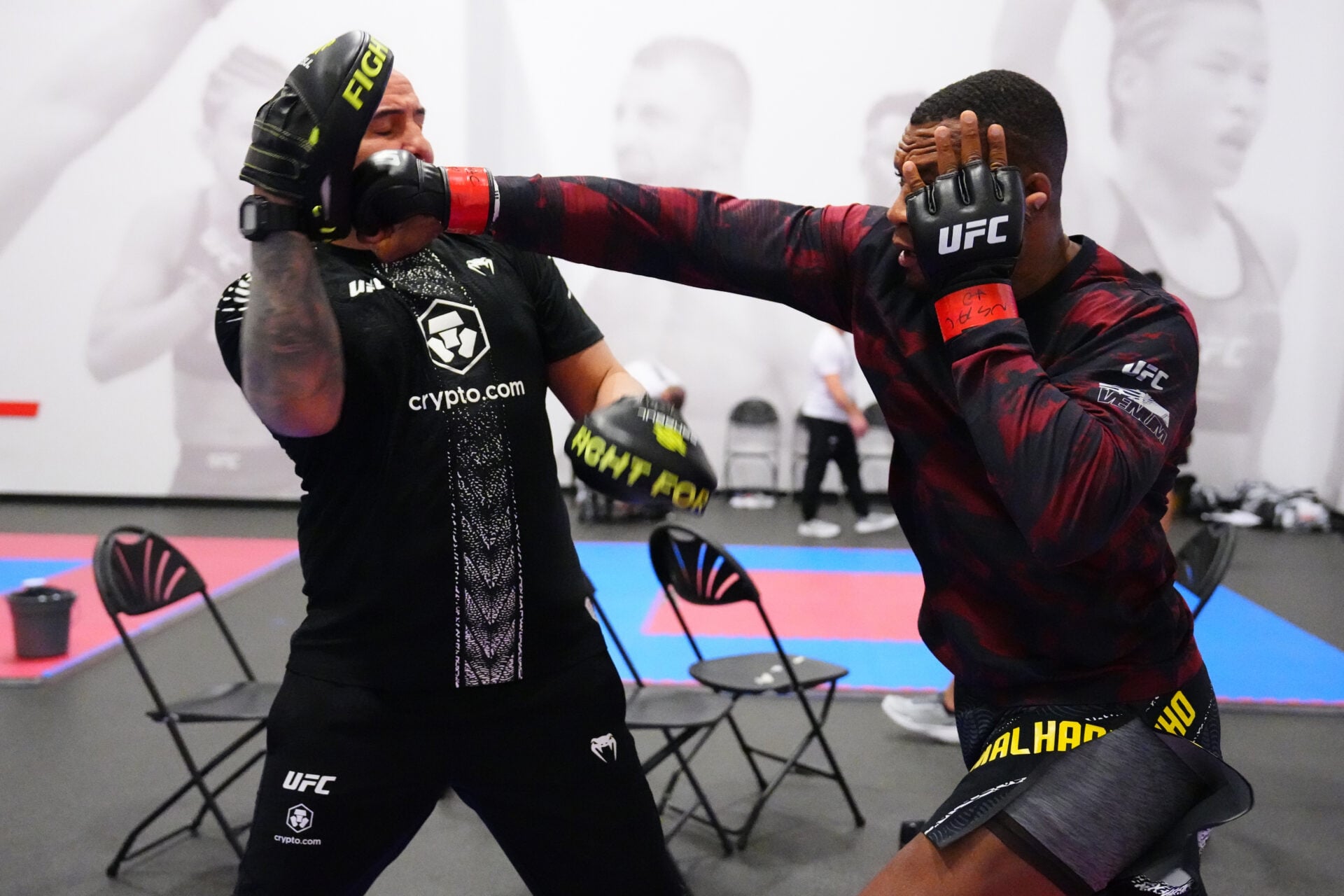Photo by Mike Roach/Zuffa LLC
