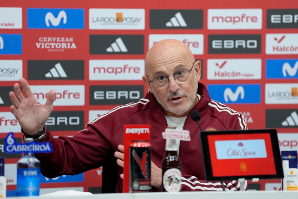 Luis De La Fuente Press Conference - Spain Team
