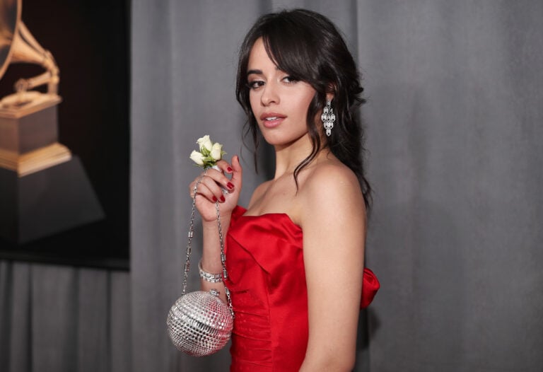 Photo by Christopher Polk/Getty Images for NARAS
