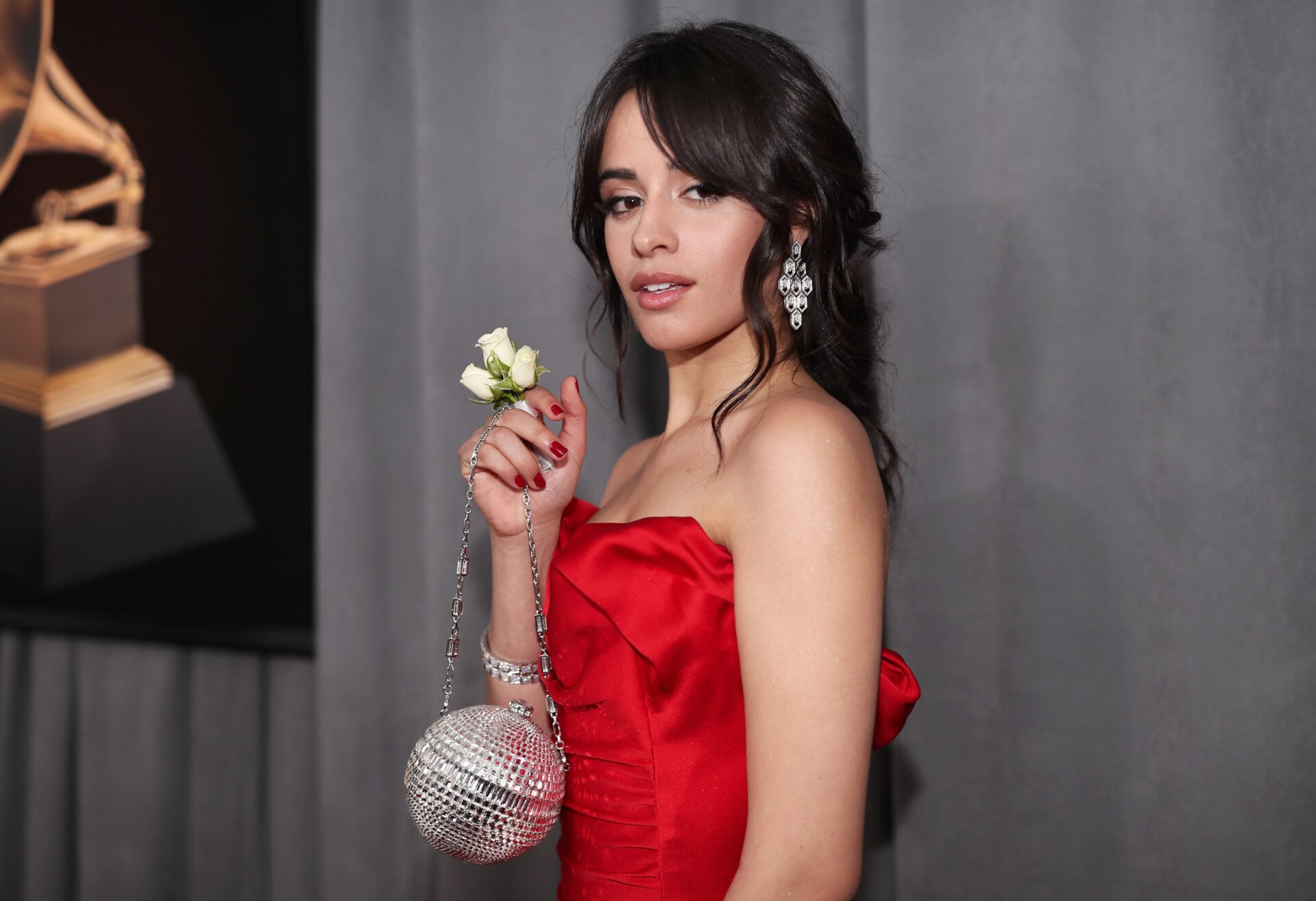 Photo by Christopher Polk/Getty Images for NARAS