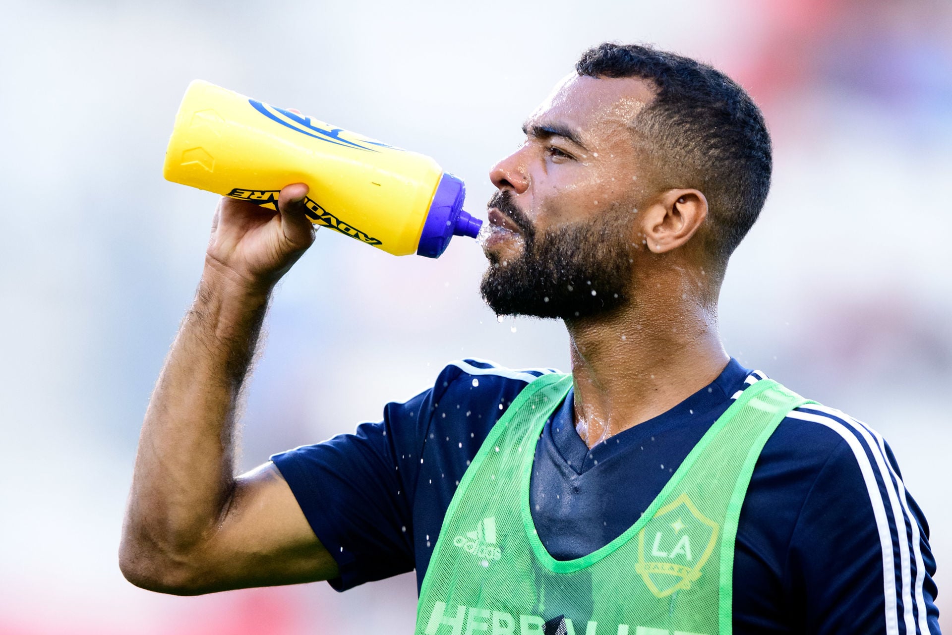 ashley cole