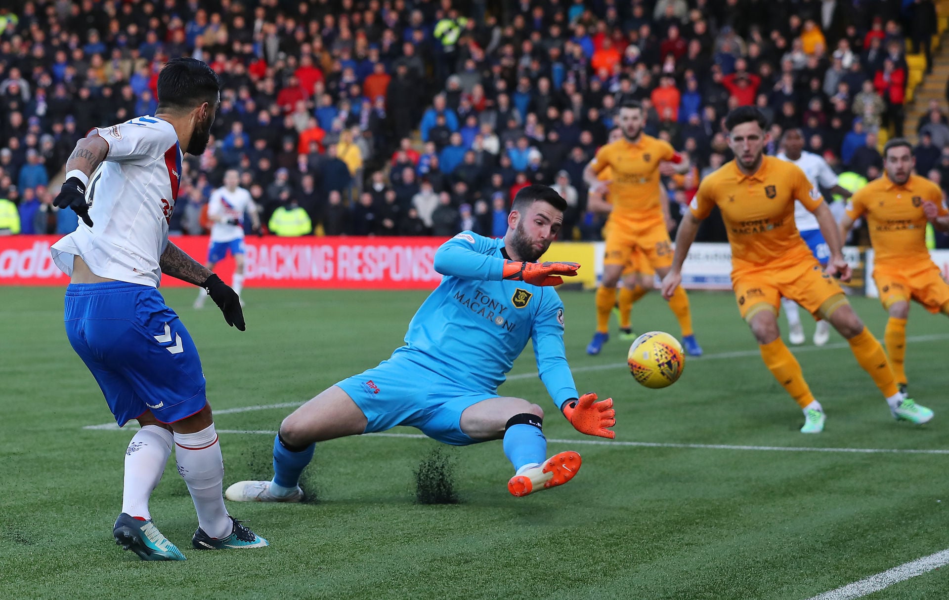 liam kelly