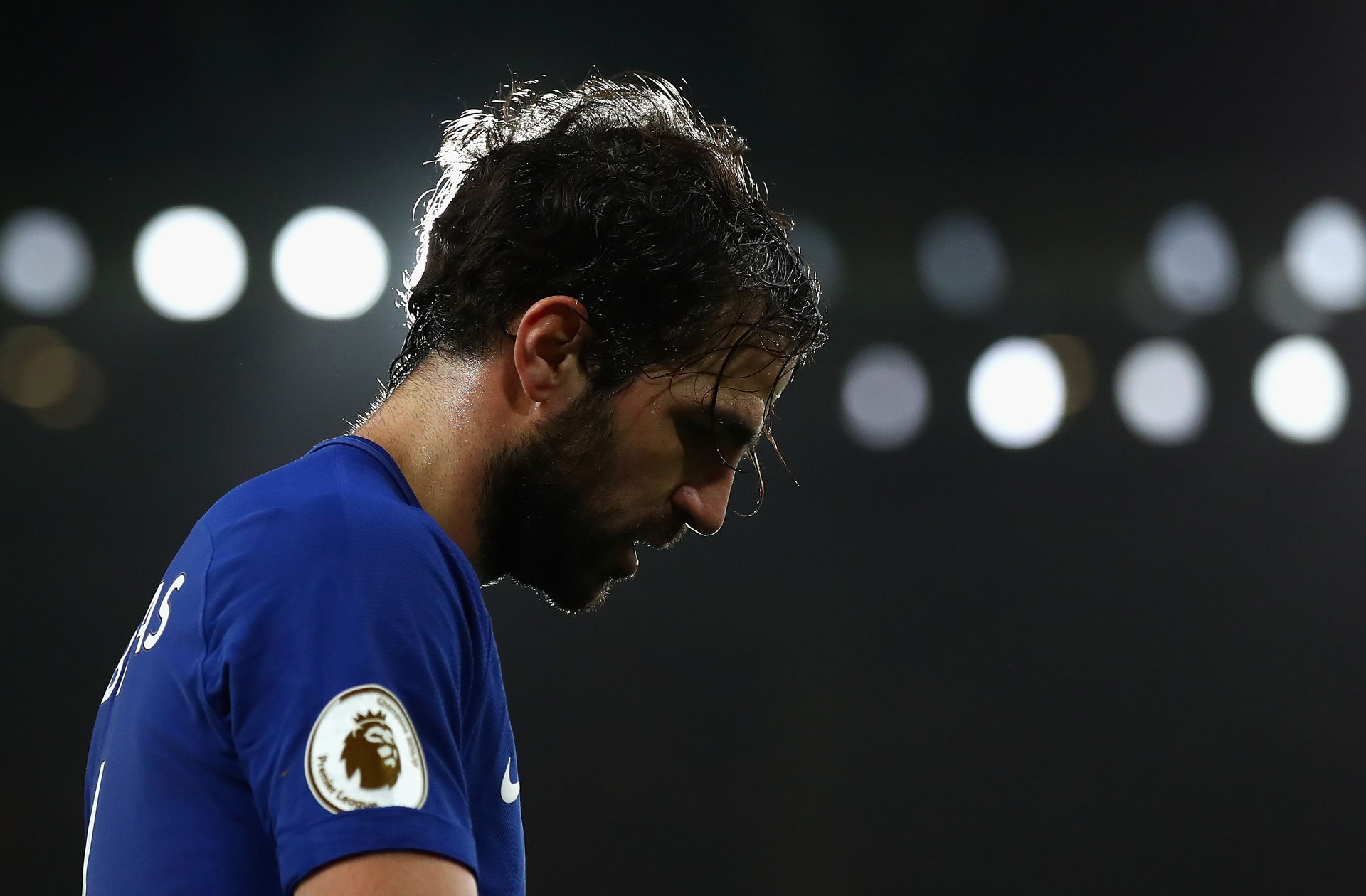 Cesc Fabregas chelsea